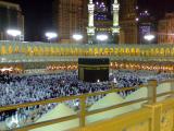 الصورة الرمزية المسافر