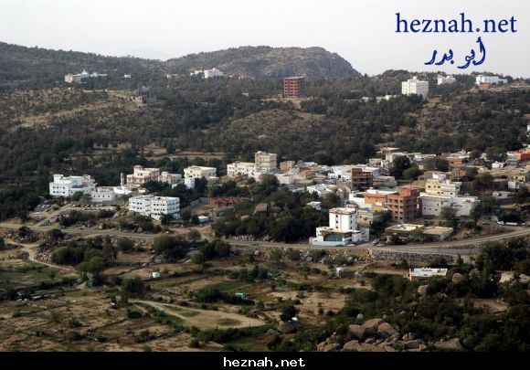 صورة  2
