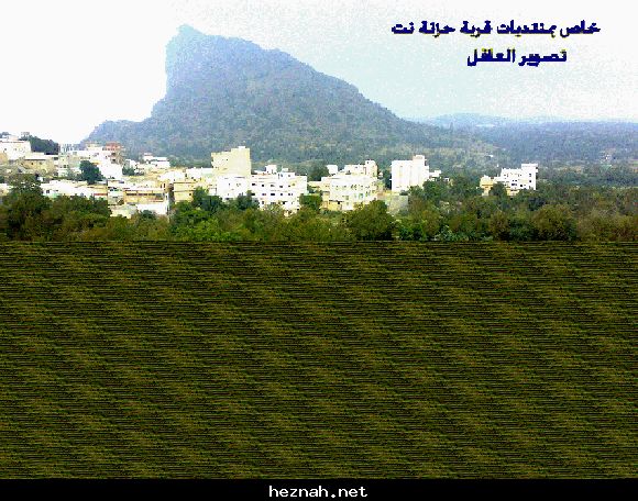 صورة  4