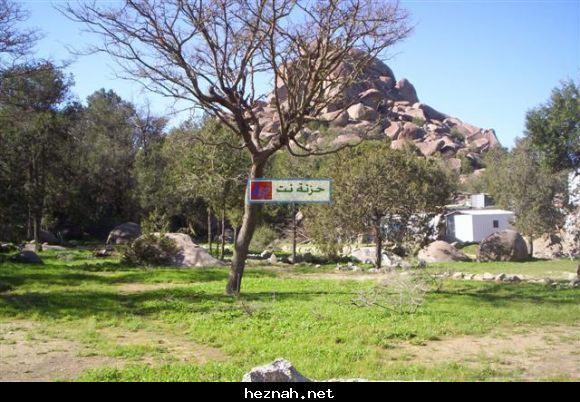 صورة  8