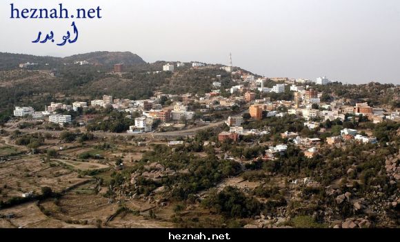 صورة  14