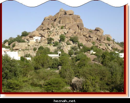 صورة  16