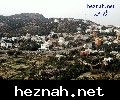 صورة  17