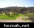 صورة  18