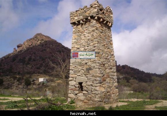 صورة  19