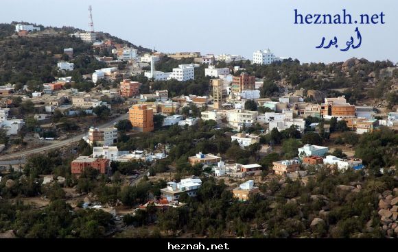صورة  20