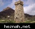 صورة  21