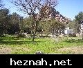 صورة  26
