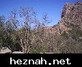 صورة  32