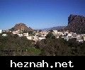 صورة  38