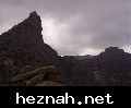 صورة  43