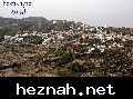 صورة  57