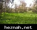 صورة  58