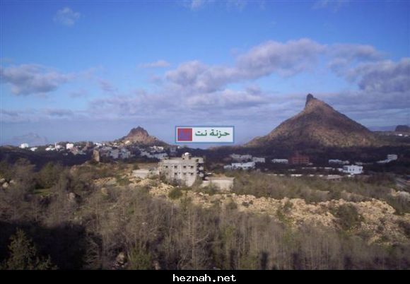 صورة  62