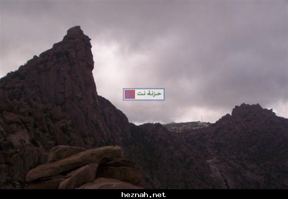 صورة  70
