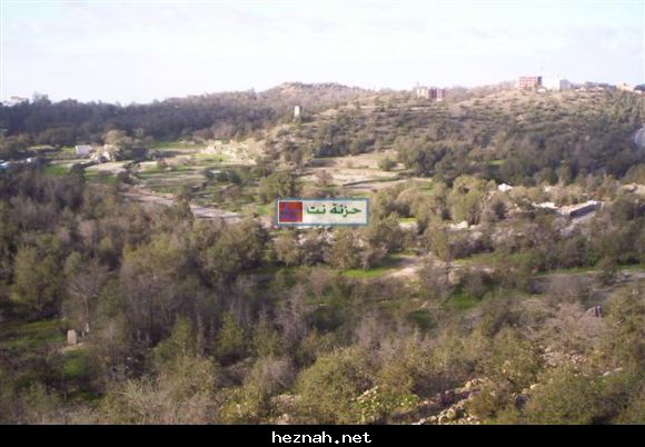 صورة  71