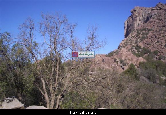 صورة  75