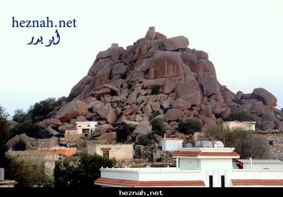 صورة  77