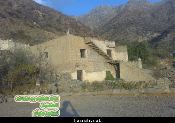 صورة  82
