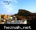 صورة  84
