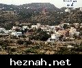 صورة  86