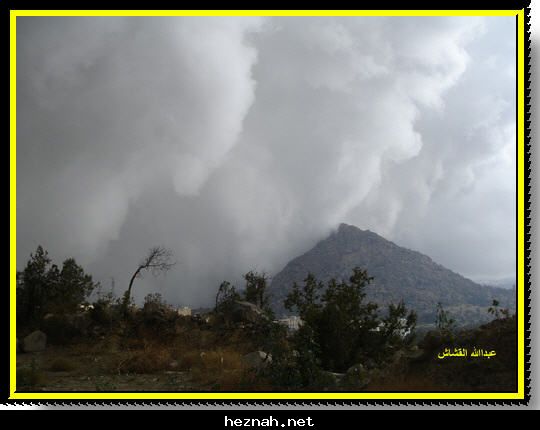 صورة  95