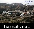 صورة  97