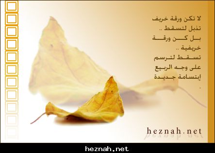 العطــاء 