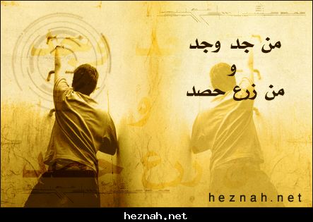 الاجتهاد 