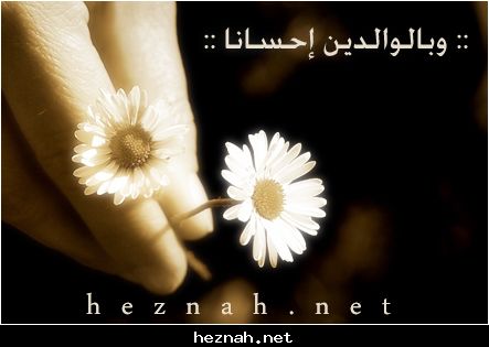 البر 