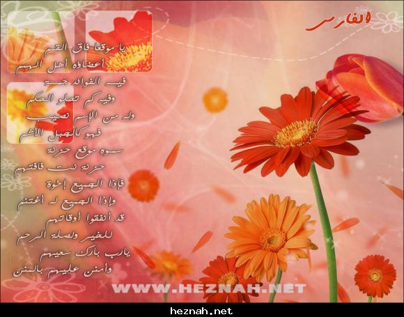 حزنة نت 4 