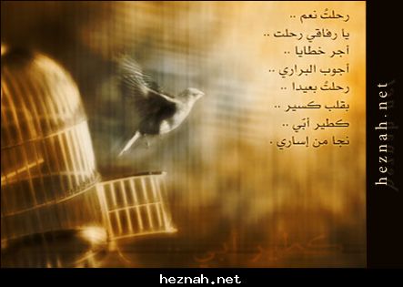 الرحيل 